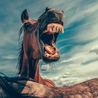 mikael-kristenson-EXuKQaf3Ei8-unsplash